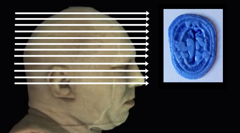 Click on arrow links to select 3D print of slice from that level of head.