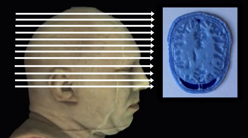 Click on arrow links to select 3D print of slice from that level of head.