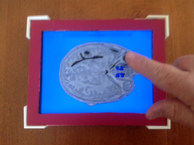 Image shows finger touching eye region of audio-enriched template which will cause audio button on underlying iPad to generate eye sound.