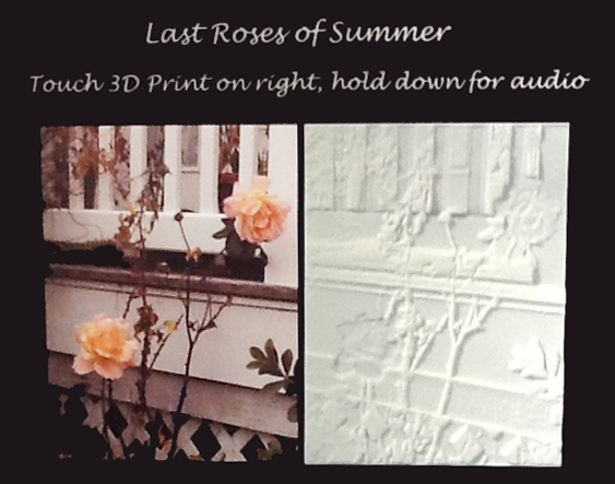 image shows image of 2D photo of roses on left and 3D print of same image on right.